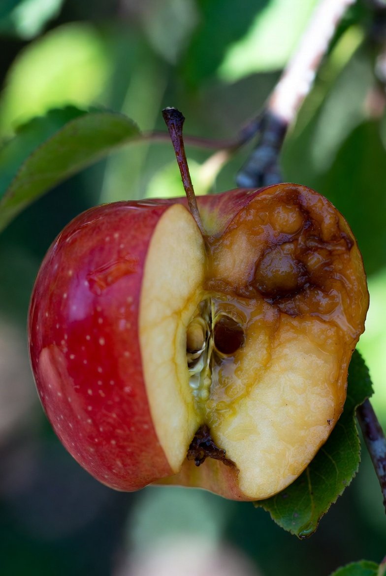 Why does God allow us to get tempted in the first place? If He doesn’t want us to sin…